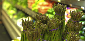 Tree grass branch plant leaf flower 1334379 pxhere