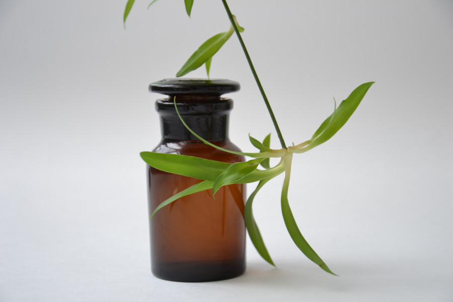Plant flower vase green biology bottle 1032875 pxhere