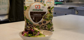 Merluza en Salsa Verde de Espinacas I