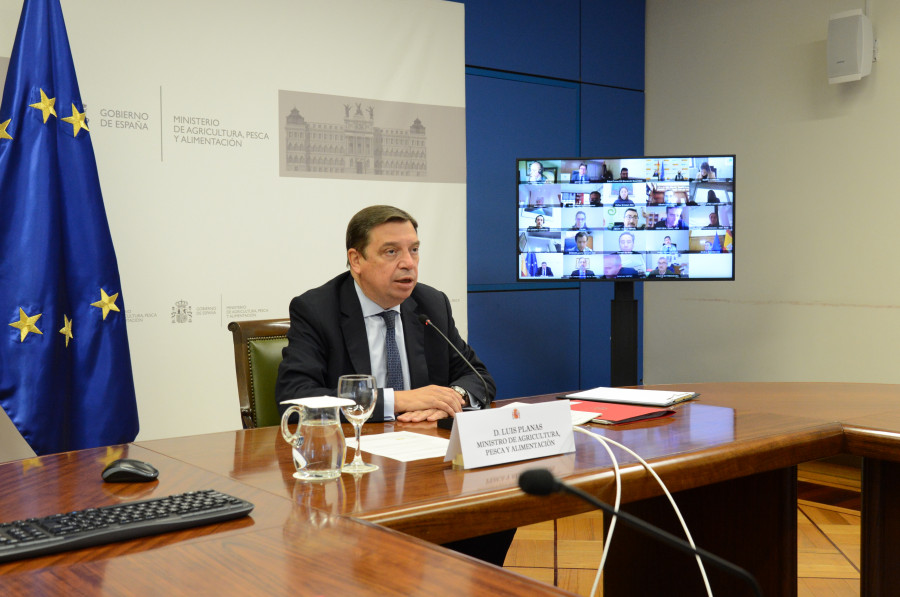 19012022ministroconsejoasesoraica3 tcm30 584664
