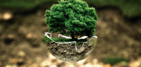 Tree nature forest grass branch plant 1081335 pxhere