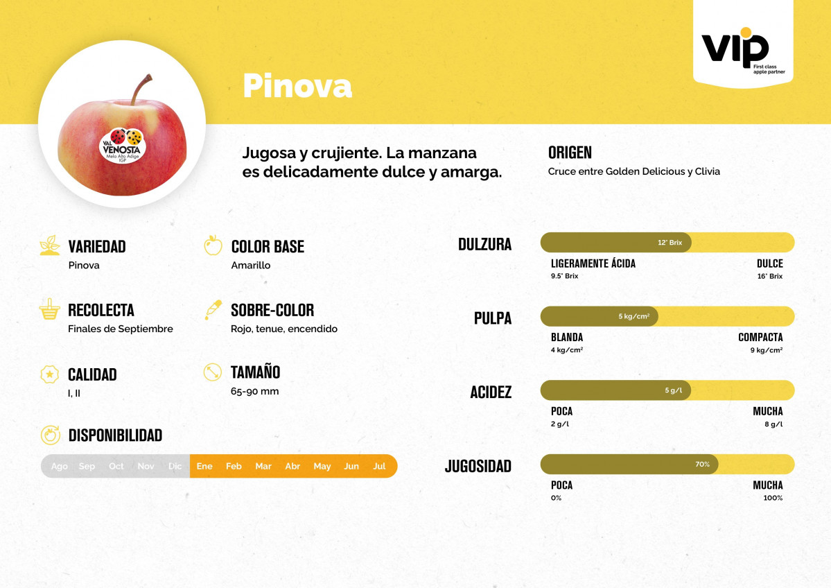 Pinova descripci ¦n