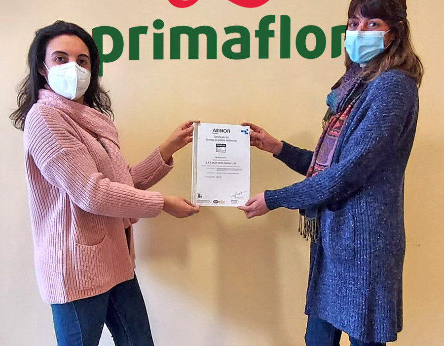 Certificación fábrica Primaflor León