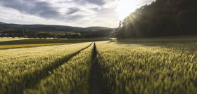 Landscape tree nature grass horizon cloud 1067111 pxhere