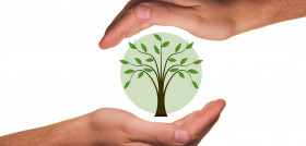 Hand tree plant leaf environment live 1334142 pxhere