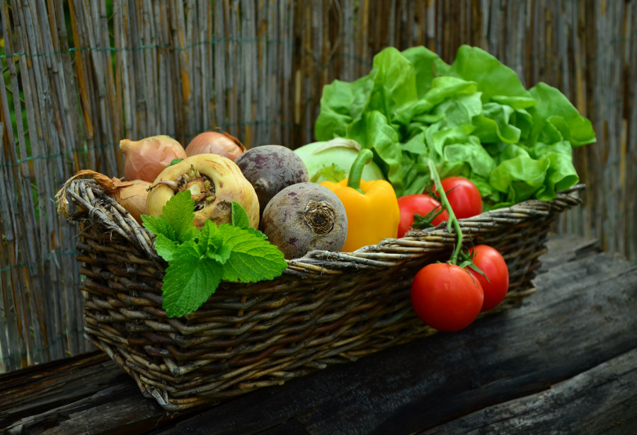 Plant fruit food salad harvest produce 879579 pxhere