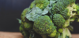 Broccoli leaf vegetable cruciferous vegetables vegetable cauliflower broccoflower 1629158 pxhere
