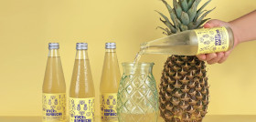 Víver Kombucha Piña y Hierbabuena