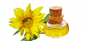 Plant flower yellow sunflower product oil 882383 pxhere