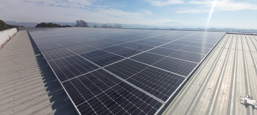 Autoconsumo Fotovoltaico Pascual