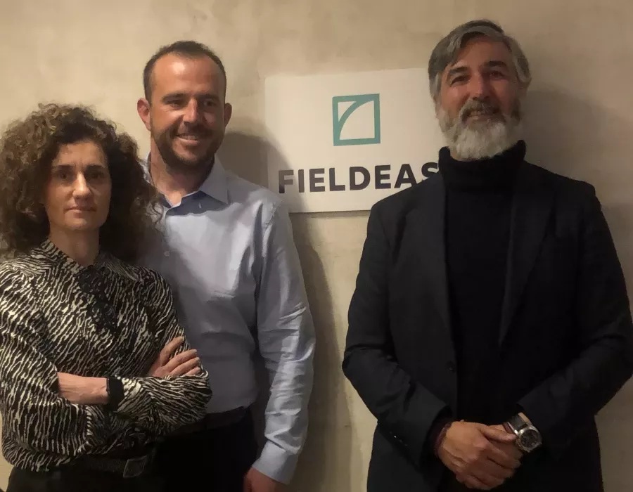 Fieldeas