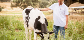 Nueva leche A2 Protein procedente de vacas seleccionadas