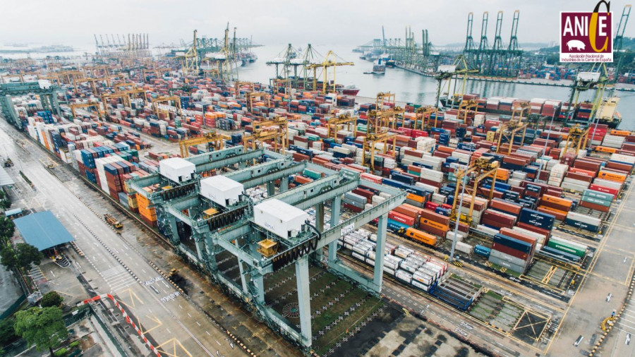 ANICE EXPORTACIÓN