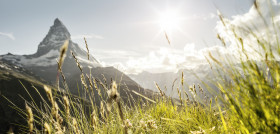 Paisaje alpino (1)