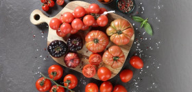 ALC BOD TOMATES 2