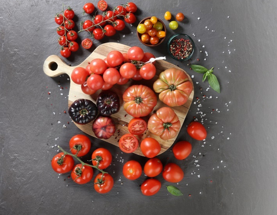 ALC BOD TOMATES 2