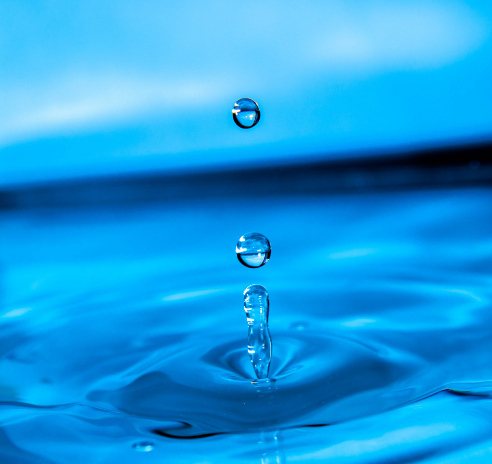 Water drop dew liquid wave petal 1167139 pxhere
