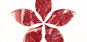 Flor Carne 4 CAPAS copia