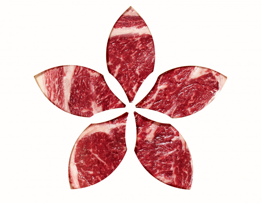 Flor Carne 4 CAPAS copia