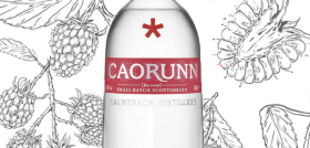 Gin