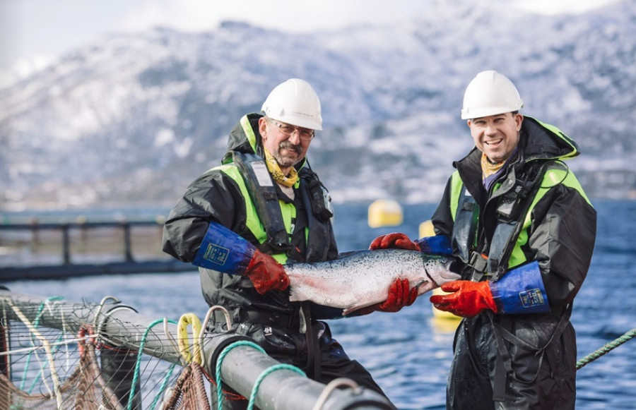 Pesca Noruega web