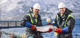 Pesca Noruega web