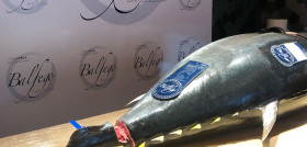 Foto 2 (2)