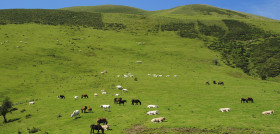 Landscape grass wilderness mountain field meadow 619345 pxhere