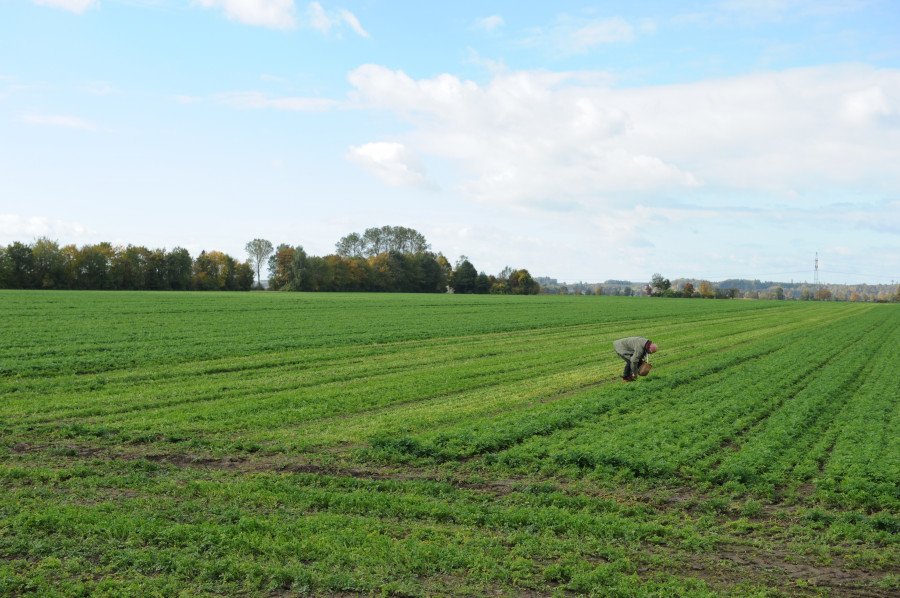 Image001