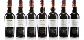 8   GAMA COLECCIÓN AÑADAS WILLIAMS 2022