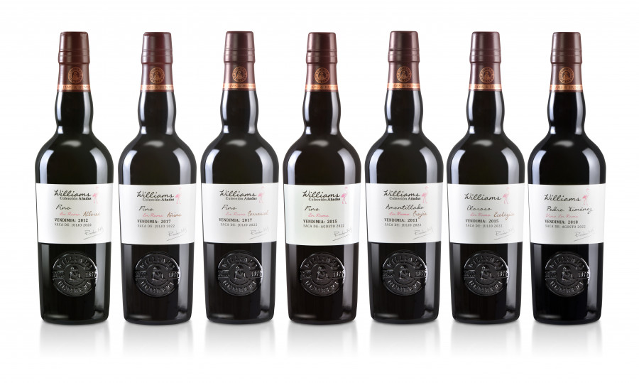 8   GAMA COLECCIÓN AÑADAS WILLIAMS 2022