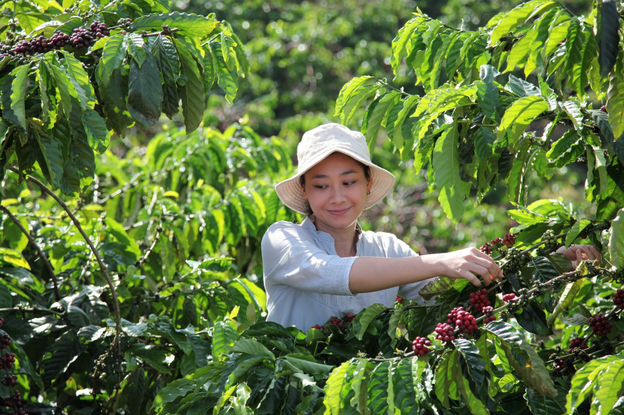 3422   NP Nestlé lanza Nescafé Plan 2030