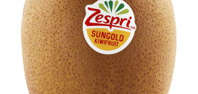 Kiwi Zespri SunGold Fotograf ¡a producto entero Etiquetas compostables