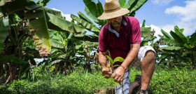 Cocoa Life farming Brazil 10