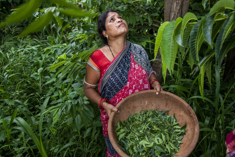 Fairtrade COP27