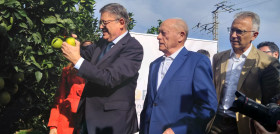 F38cee4d 4ff2 4c2e 9282 9521685670d0