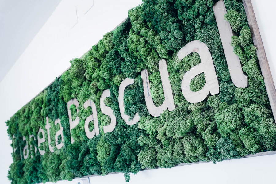 Pascual green