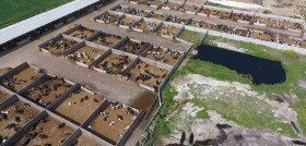 85564 Compassion in World Farming Ecostorm low