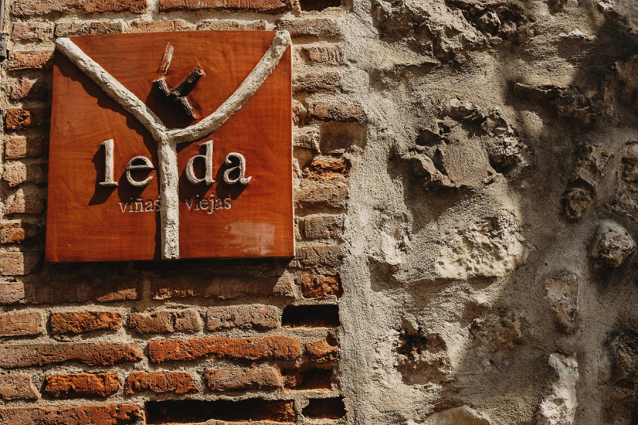 BODEGA LEDA