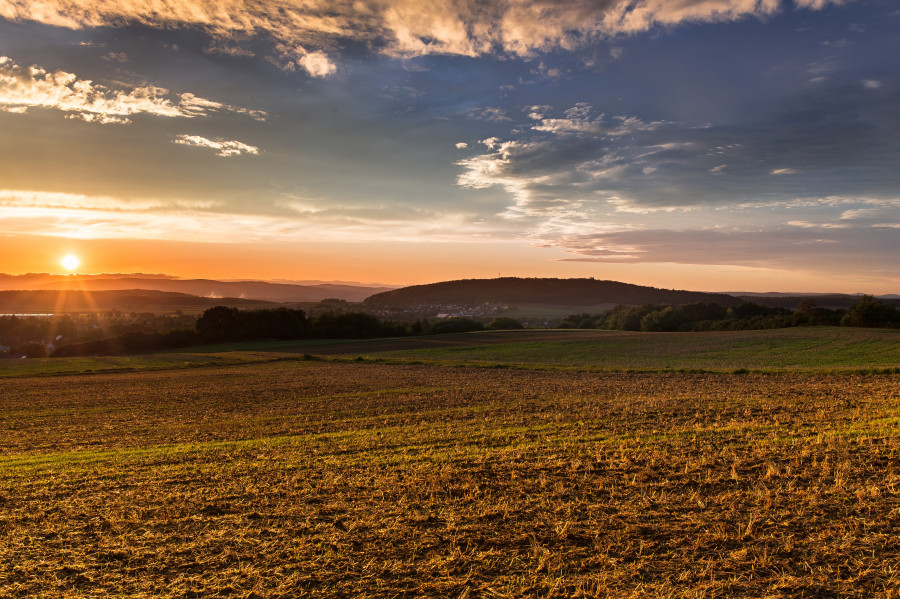 Landscape tree nature grass horizon cloud 861857 pxhere