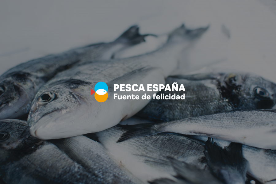PescaEspaña 03