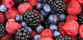 Frutos rojos