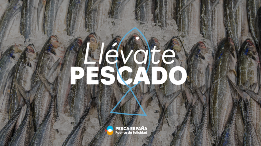 Fotos campaña Llévate pescado 01