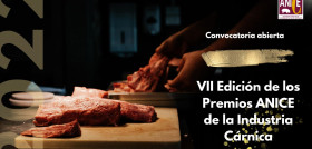ANICE PREMIOS 2022