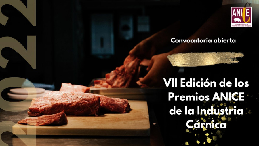 ANICE PREMIOS 2022