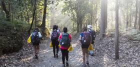 Camino del reciclaje 1