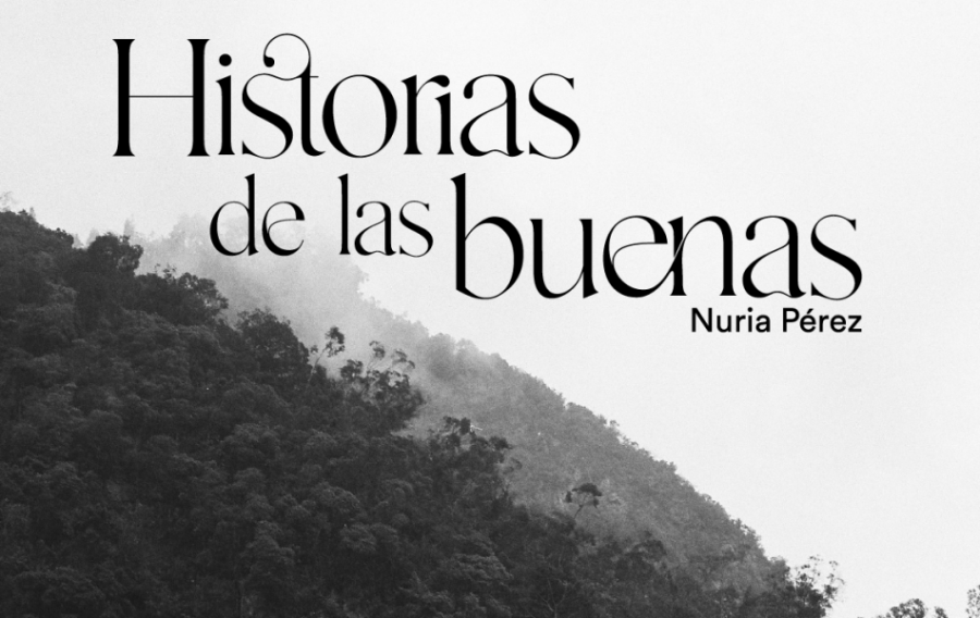 Historia de las buenas Gullón