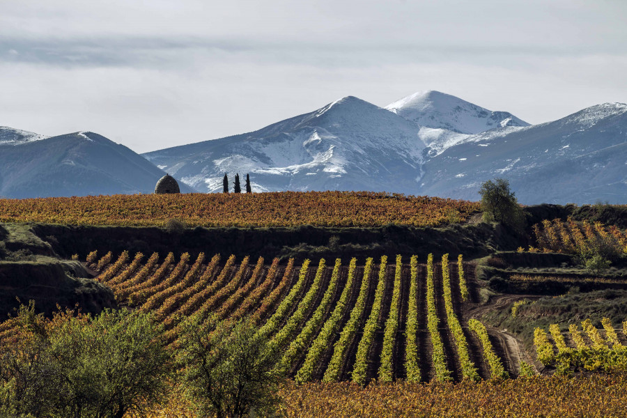 Rioja Alta Badaran 02 (1)