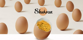 IMG Huevo Shukran