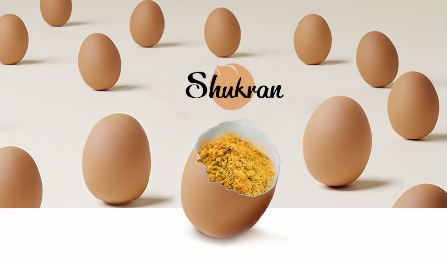 IMG Huevo Shukran